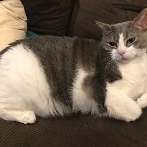 Meet your Posher, Julian